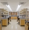 Cornell 82009 04
