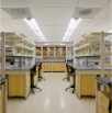 Cornell 82009 04